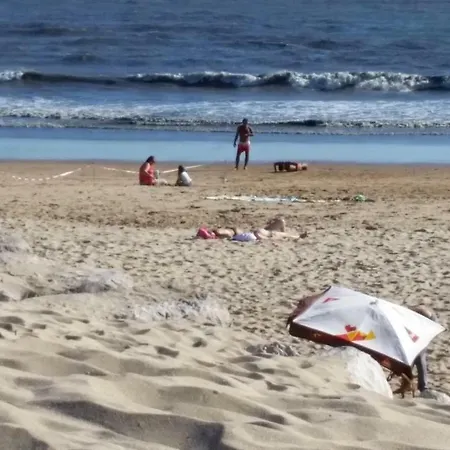 Διαμέρισμα Da Silva Costa de Caparica